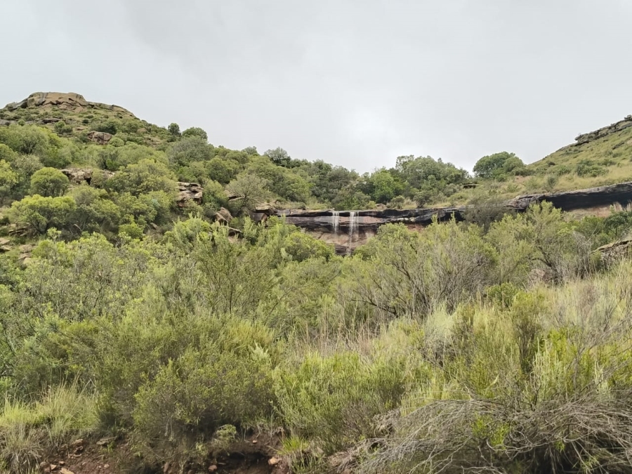 0 Bedroom Property for Sale in Jamestown Eastern Cape